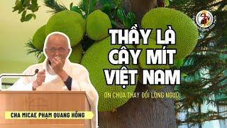  Thầy là cây mít VN  Ơn Chúa thay đổi lòng người  Bài giảng Cha Hồng 28/4/24