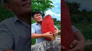 Enjoying beautiful nature life #shorts #ytshorts #nature #fruit