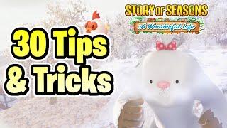 30+ Beginner Tips & Tricks You NEED To Know for Story of Seasons: A Wonderful Life!