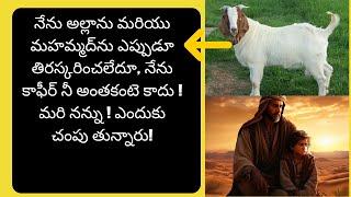 బక్రీద్ విశిష్ట జంతు బాలి ! #BAKRID #ZILHAJJ #ISLAM