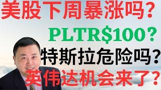 美股939|美股下周暴涨吗?PLTR能到100吗?特斯拉危险了吗?英伟达机会来了吗?圣诞新年贺礼! #tsla #nvda #pltr #美股分析 #drmikeinvest #stocks #ai