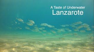 A Taste of Underwater Lanzarote