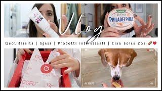 Quotidianità | Spesa | Prodotti interessanti | Ciao dolce Zoe ️