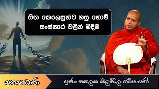 සිත කෙලෙසුන්ට හසු නොවී සංස්කාර වලින් මිදීම (Ven.Hasalaka seelavimala thero) Sangha Dhara (සංඝ ධාරා)