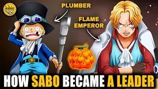 Life of Flame Emperor Sabo Explained in One Piece | Anime MXH