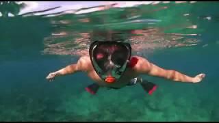 Full Face Snorkeling Mask ARIA by OCEAN REEF new 2017 product line clip1