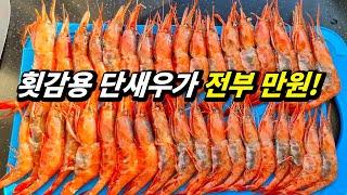 싸도 너무 싼 삼척번개시장, 3만원으로 푸짐히 즐기고도 잔뜩 남았어요!(입질의 해산로드 #6, 삼척 번개시장편)