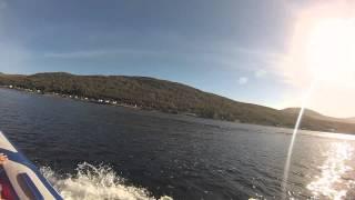 Dolphins on Loch Linnhe