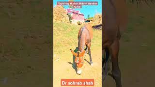 ️"Exploring Huchar: Hidden Wonders Await"️