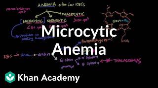 Microcytic anemia | Hematologic System Diseases | NCLEX-RN | Khan Academy