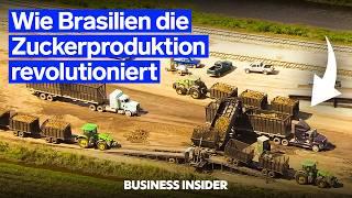 Zuckerrohrproduktion – Wie Brasilien ohne brennende Felder die Branche dominiert