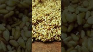 Til ki chikki (sesame seed brittle) Recipe By Food Appetizer #happycookingtoyou