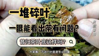 Why is Xigui ancient tree tea so fragrant? Follow Puwen to find the answer from a pile of broken ...