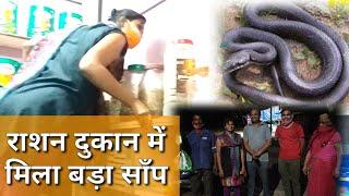 राशन दुकान में मिला बहोत बड़ा साँप || big size indian rat snake rescue ||rescue big size snake