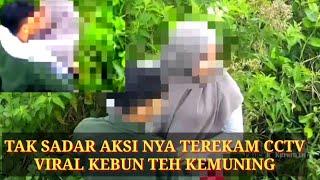 Viral Sejoli Mesum di Kebun Teh, Terekam CCTV (Saat Ciuman Mesra), Polisi Usut Pelakunya