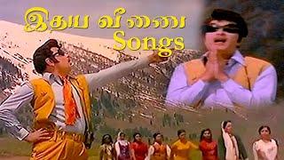 idhaya Veenai Movie Song | MGR Movie Song | M.S.Viswanathan | Bravo Music