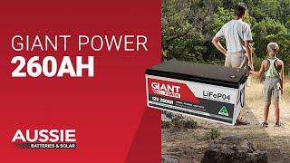 Giant 260AH 12V Lithium Deep Cycle Battery