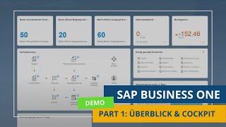 SAP Business One Demo - Part 1: Overview and Cockpit