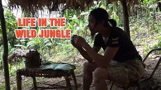 Surviving Alone in the Jungle: A Wanderer's Journey in the Wild