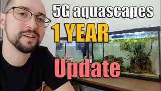 1 YEAR update on my nano aquariums