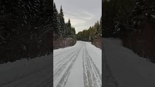 Winter drives #montana #trees #snow #glaciernationalpark #scenicdrive #roadtrip #travel #scenicviews