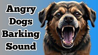 Dog Sound || Dog Barking || Dog Voice || Angry Dogs Barking Sound