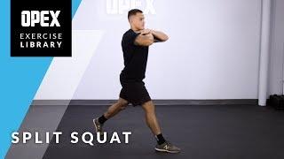 Split Squat