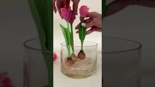 Домашние цветы из мыла?  #мыловар #мыловарение