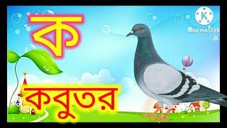 ক তে কবুতর | ক কবুতর | ক খ গ ঘ | বাংলা song | অ তে অজগর | অ আ ই ঈ song |#kidssongs#kidssongsbengali