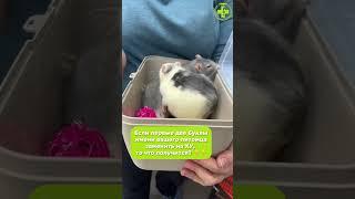 Что получилось