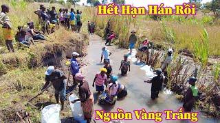 Linh Philip || Thành Công Đưa Nguồn Vàng Trắng Về Với Việt Phi Farm !!!