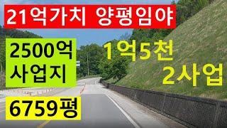 낙찰종료. 6759평 양평 임야 2가지 사업으로 2500억 매출 가능 한참 떨어진 후 1억5천 입찰제안 [땅과함께 경매정보 공매정보] 경기 양평군 단월면 보룡리 산19-4