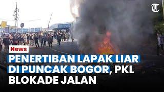 BERSITEGANG! PKL Puncak Bogor Blokade Jalan hingga Bakar Ban saat Lapaknya Ditertibkan