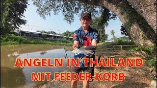 ARE THE BIG FISH BITEDING TODAY?  RIVER FISHING IN THAILAND