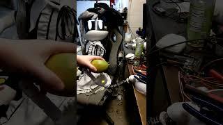 Mango For Cyn