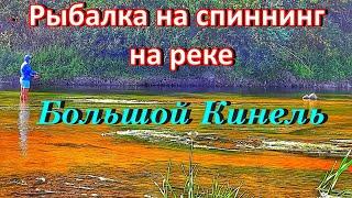 РЫБАЛКА НА СПИННИНГ НА Р.БОЛЬШОЙ КИНЕЛЬ/СПЛАВ ПО РЕКЕ НА ЛОДКЕ/РАЗНООБРАЗИЕ ХИЩНИКОВ/ЛОВЛЯ НА ВОБЛЕР