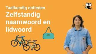 Wat is een zelfstandig naamwoord? (complete uitleg en voorbeelden)