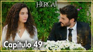 Hercai - Capítulo 49