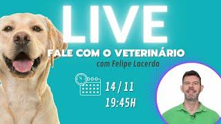 129 | FALE COM O VETERINÁRIO - Live gratuita para você perguntar tudo sobre seu cachorro ou gato!