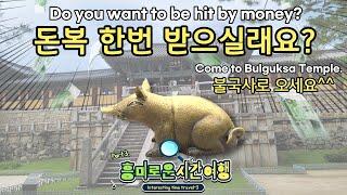 This is the third video of an interesting time travel with Korean Rex.