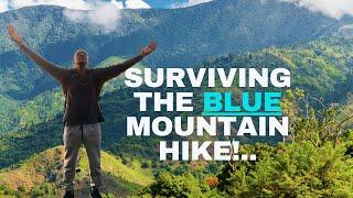 Exploring the Blue Mountain: A Hike to Jamaica's Highest Point