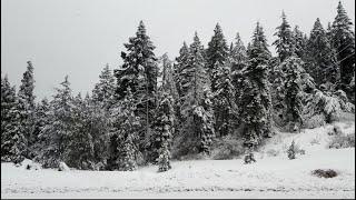 Hermoso paisaje en Oregón