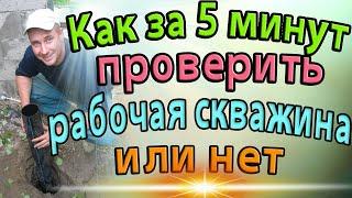 КАК ЗА 5 минут ПРОВЕРИТЬ РАБОЧАЯ СКВАЖИНА ИЛИ НЕТ