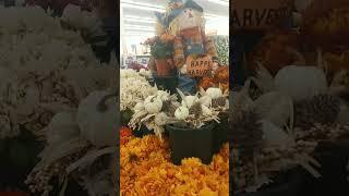 Shop With Me At Hobby Lobby + 40% Off