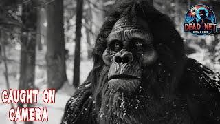 10 Real Bigfoot Sightings: New Encounters to Unravel