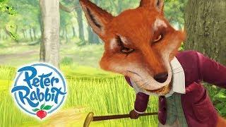 Peter Rabbit - Beware of the Fox! | Cartoons for Kids