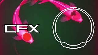 Chin Flow CFX - Pink Koi ( No Copyright Music Background ) Japanese Trap