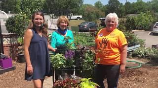 Brie Grows Visits Cold Creek Nurseries