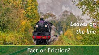 Leaves on the line: Fact or Friction?