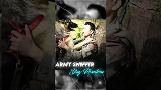 Tribute to Indian Army Sniffer Dog Phantom | Akhnoor Encounter